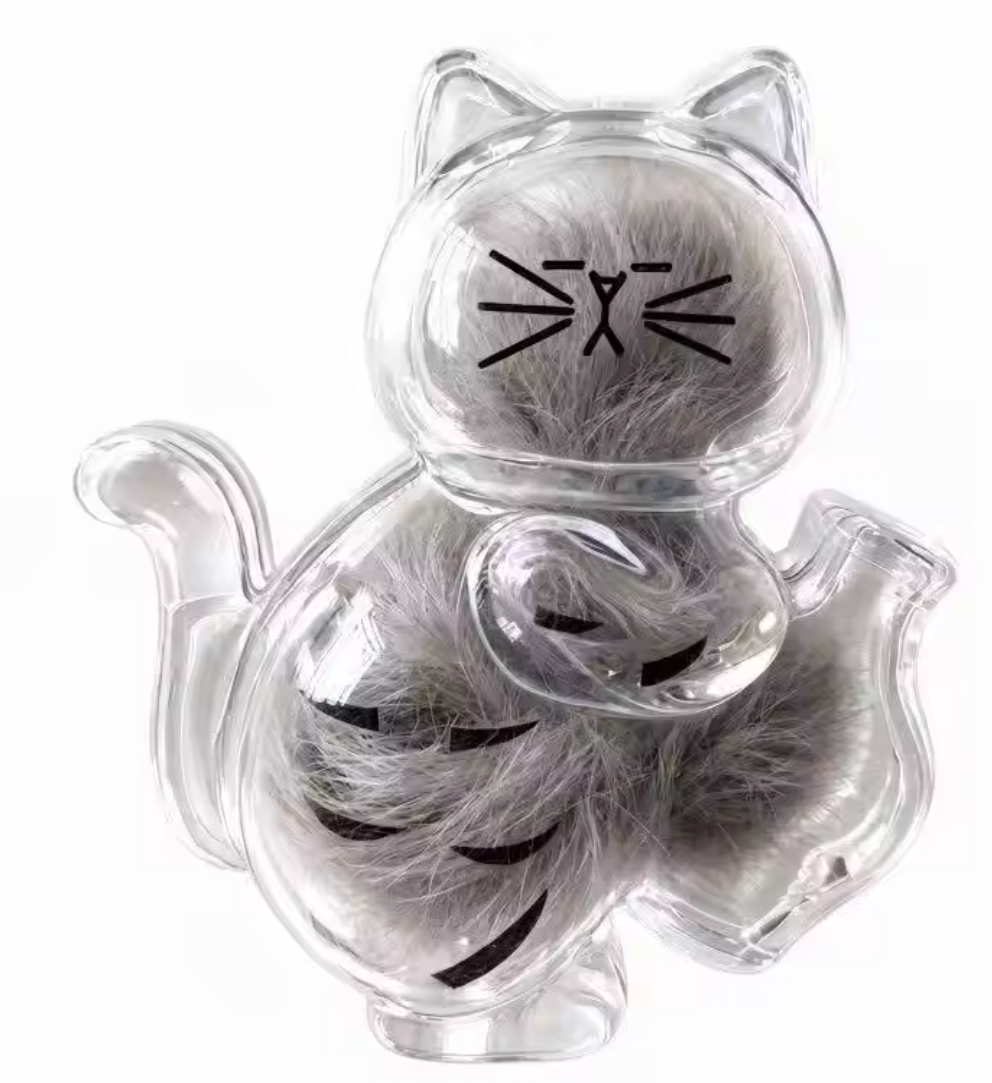 Tabby Cat