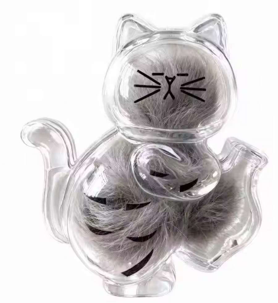 Tabby Cat