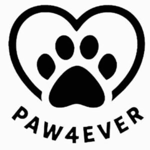 Deep Engraved Pet Portrait Keychain